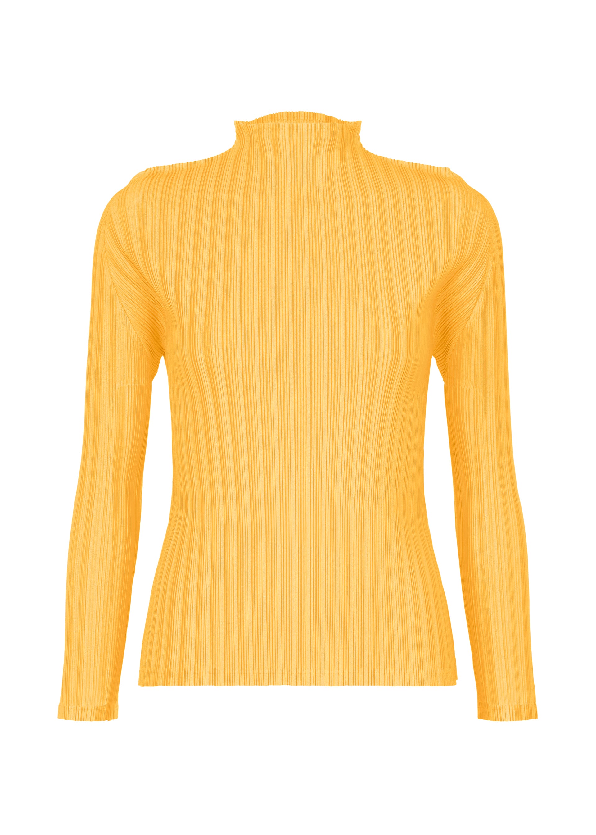 RIB PLEATS JANUARY