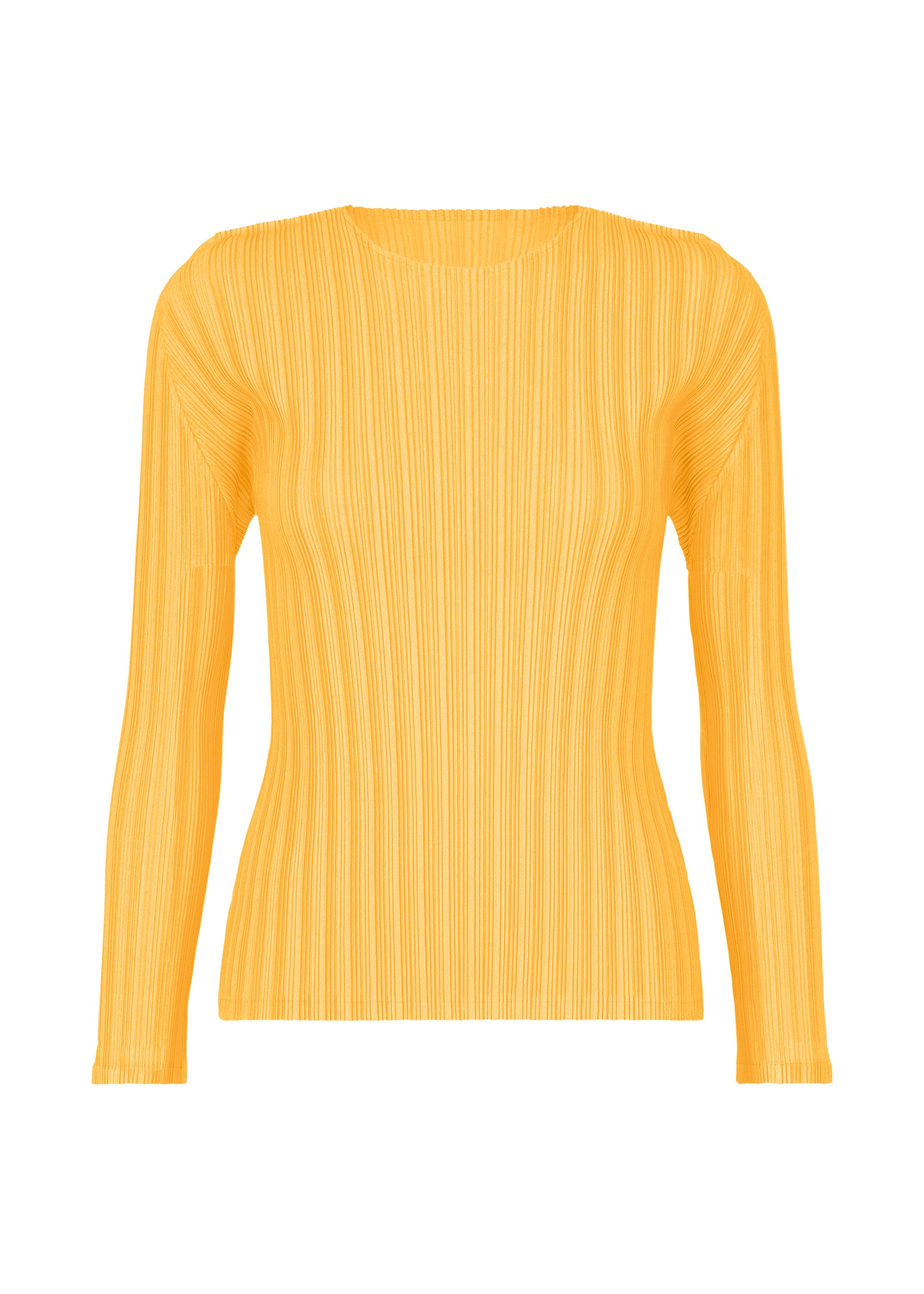 RIB PLEATS JANUARY
